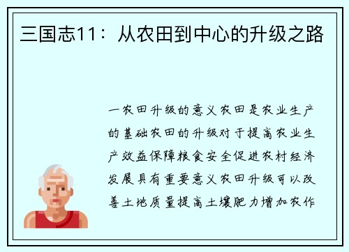三国志11：从农田到中心的升级之路